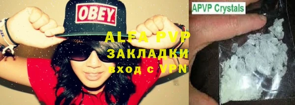 шишки Алзамай