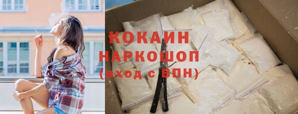 шишки Алзамай