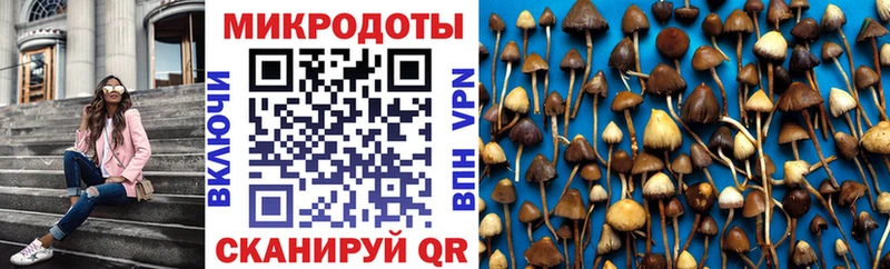 Псилоцибиновые грибы мицелий  Уфа 